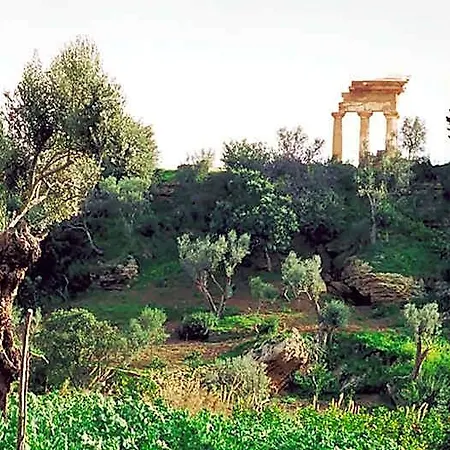 La Citta Degli Dei
